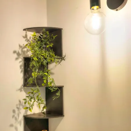 Large & Cozy Flat, Spacious Yard, Near Pmic1-2 Appartement